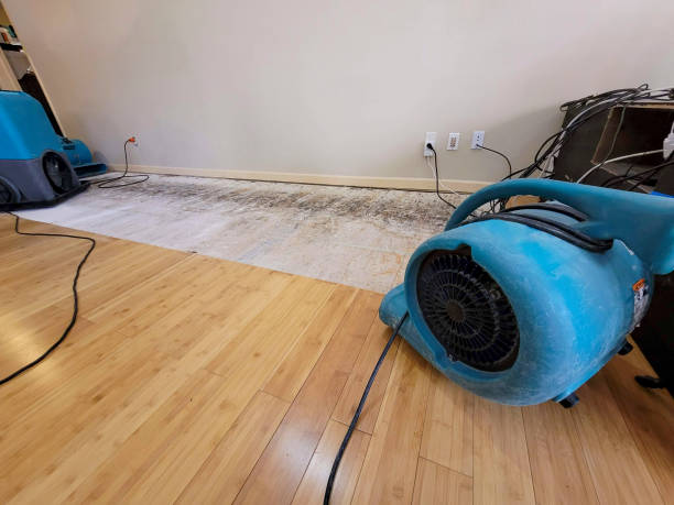 Professional Water Removal technician working in Clintonville, WI